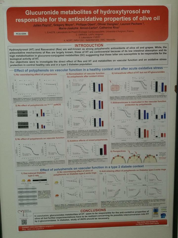 12417541_10207382871302654_3796892649832484519_n