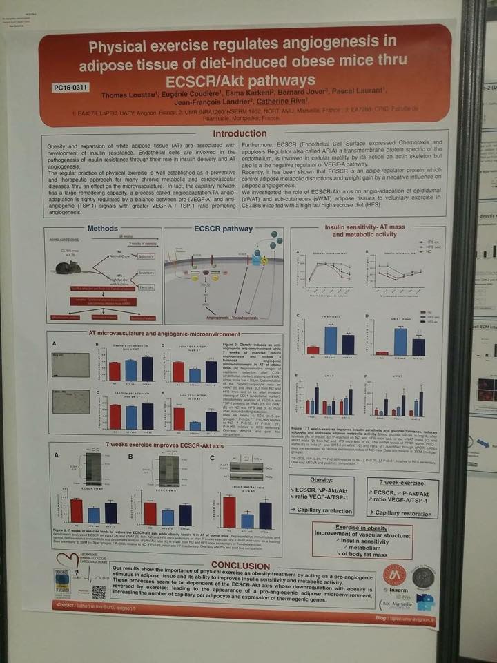 12923319_10207382873142700_4921085955827302448_n