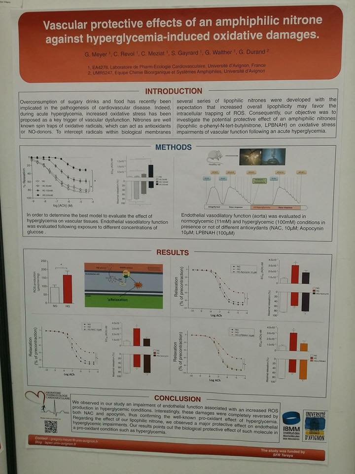 12932657_10207382870982646_7232317492619354957_n