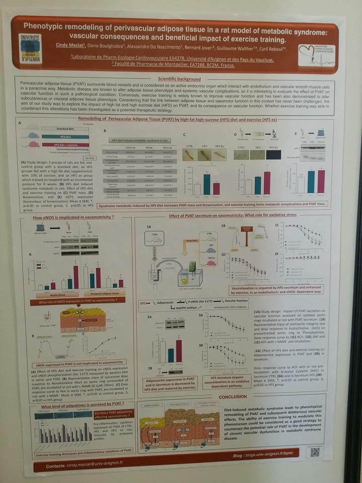 12961485_10207382871582661_6800130966896959056_n