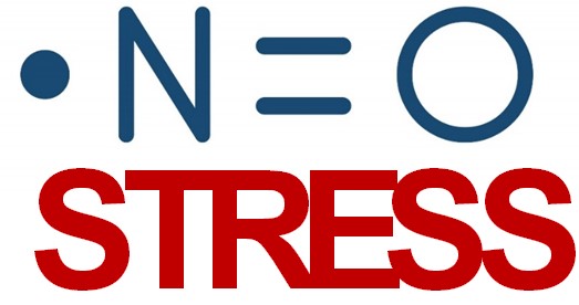https://lapec.univ-avignon.fr/wp-content/uploads/sites/7/2021/01/no-stress-logo.jpg